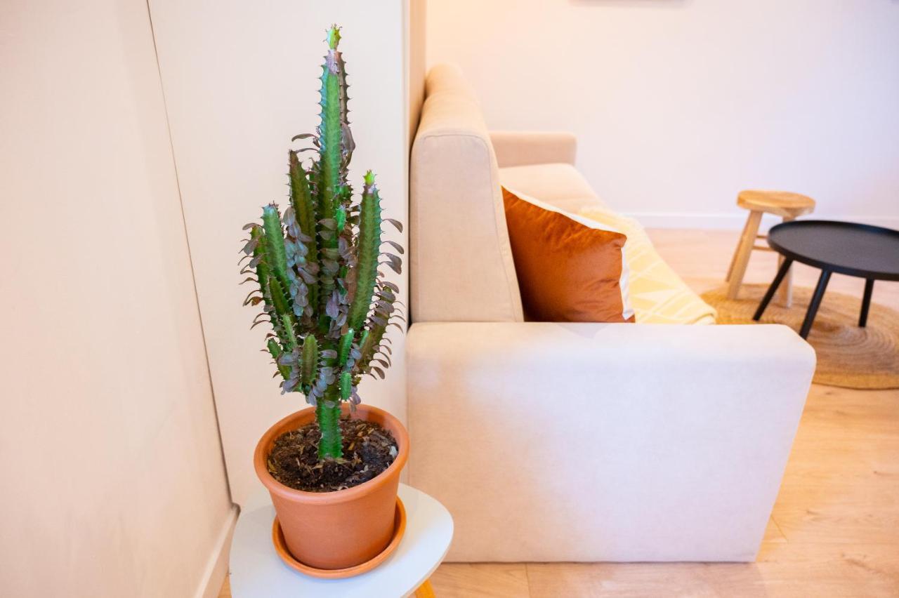 Appartement Cocooning Proche Mer Carqueiranne Exteriér fotografie