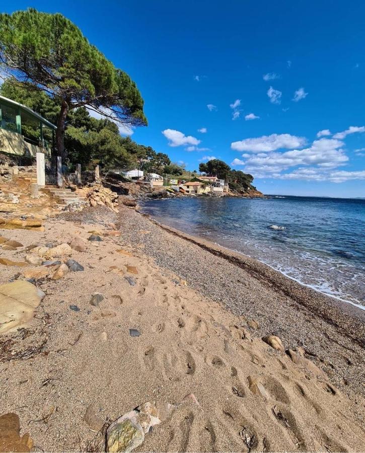 Appartement Cocooning Proche Mer Carqueiranne Exteriér fotografie