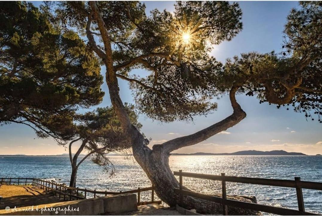 Appartement Cocooning Proche Mer Carqueiranne Exteriér fotografie