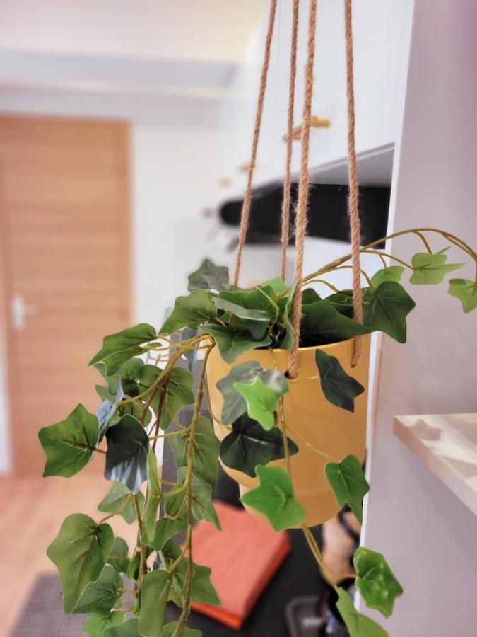Appartement Cocooning Proche Mer Carqueiranne Exteriér fotografie